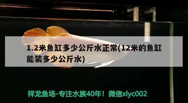 1.2米鱼缸多少公斤水正常(12米的鱼缸能装多少公斤水)