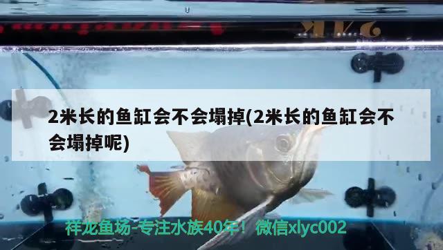 2米长的鱼缸会不会塌掉(2米长的鱼缸会不会塌掉呢) 鱼粮鱼药