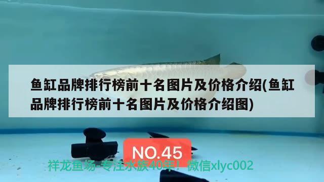 鱼缸品牌排行榜前十名图片及价格介绍(鱼缸品牌排行榜前十名图片及价格介绍图)