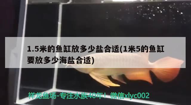 1.5米的鱼缸放多少盐合适(1米5的鱼缸要放多少海盐合适) 观赏虾蟹等饲料