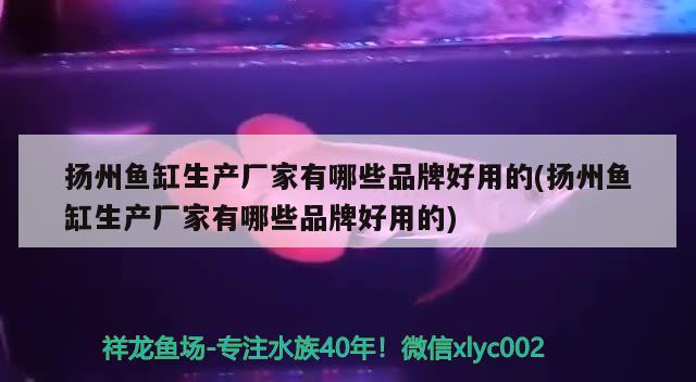 扬州鱼缸生产厂家有哪些品牌好用的(扬州鱼缸生产厂家有哪些品牌好用的)