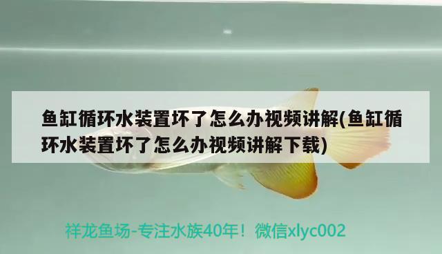 鱼缸循环水装置坏了怎么办视频讲解(鱼缸循环水装置坏了怎么办视频讲解下载) 九鼎鱼缸 第2张