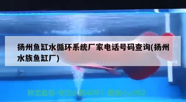 扬州鱼缸水循环系统厂家电话号码查询(扬州水族鱼缸厂)