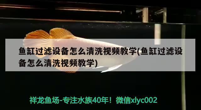 鱼缸过滤设备怎么清洗视频教学(鱼缸过滤设备怎么清洗视频教学)