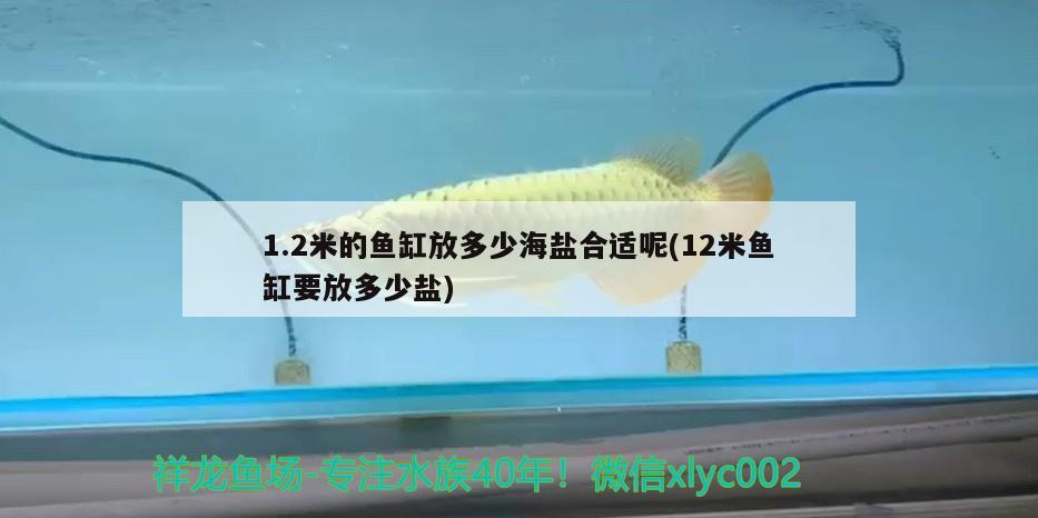 1.2米的鱼缸放多少海盐合适呢(12米鱼缸要放多少盐) 水族品牌