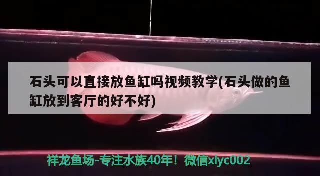 石头可以直接放鱼缸吗视频教学(石头做的鱼缸放到客厅的好不好) 养鱼知识