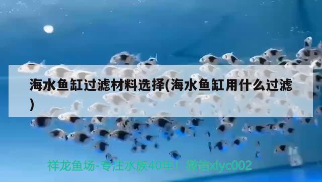 海水鱼缸过滤材料选择(海水鱼缸用什么过滤)