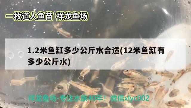 1.2米鱼缸多少公斤水合适(12米鱼缸有多少公斤水)