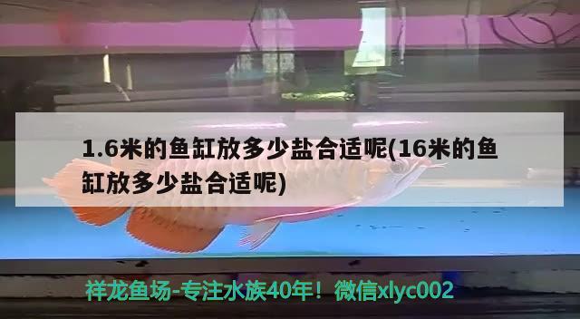 1.6米的鱼缸放多少盐合适呢(16米的鱼缸放多少盐合适呢)