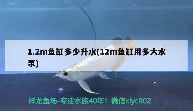 1.2m鱼缸多少升水(12m鱼缸用多大水泵)