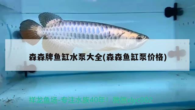 森森牌鱼缸水泵大全(森森鱼缸泵价格)