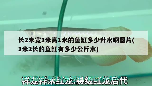 长2米宽1米高1米的鱼缸多少升水啊图片(1米2长的鱼缸有多少公斤水) 喷点菠萝鱼