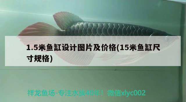 1.5米鱼缸设计图片及价格(15米鱼缸尺寸规格) 水族杂谈