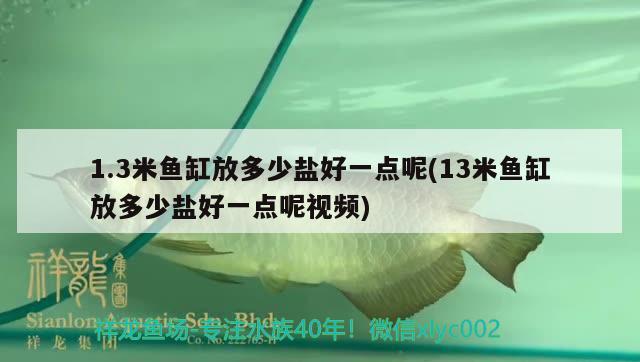 1.3米鱼缸放多少盐好一点呢(13米鱼缸放多少盐好一点呢视频)