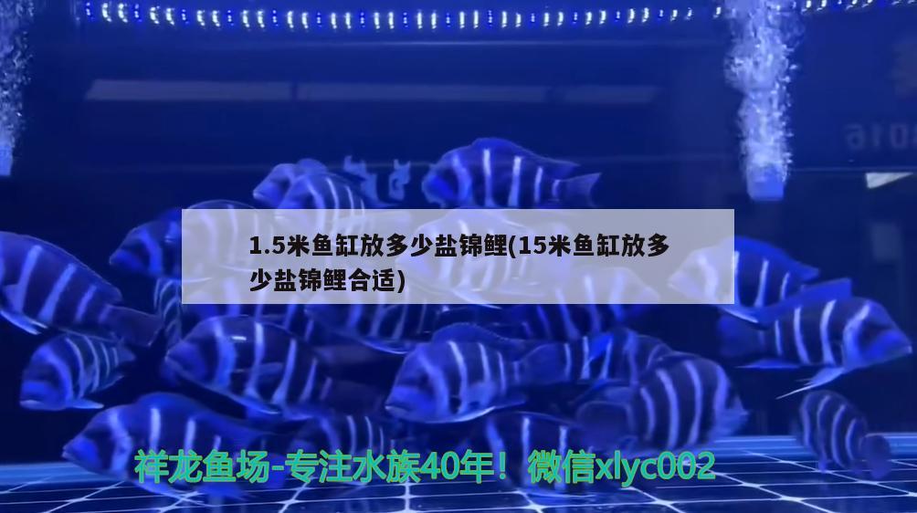 1.5米鱼缸放多少盐锦鲤(15米鱼缸放多少盐锦鲤合适) 三色锦鲤鱼