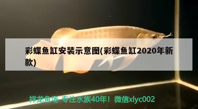 彩蝶鱼缸安装示意图(彩蝶鱼缸2020年新款) 彩鲽鱼缸（彩蝶鱼缸）