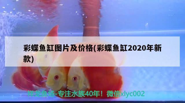 彩蝶鱼缸图片及价格(彩蝶鱼缸2020年新款)