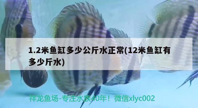 1.2米鱼缸多少公斤水正常(12米鱼缸有多少斤水)