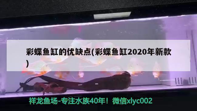 彩蝶鱼缸的优缺点(彩蝶鱼缸2020年新款)