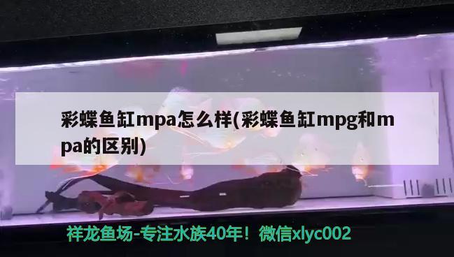 彩蝶鱼缸mpa怎么样(彩蝶鱼缸mpg和mpa的区别)