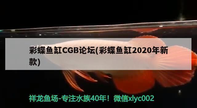 彩蝶鱼缸CGB论坛(彩蝶鱼缸2020年新款)