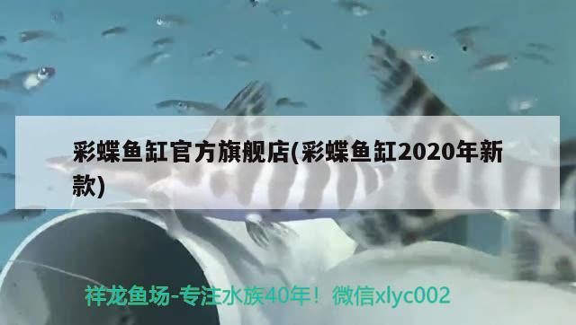 彩蝶鱼缸官方旗舰店(彩蝶鱼缸2020年新款)