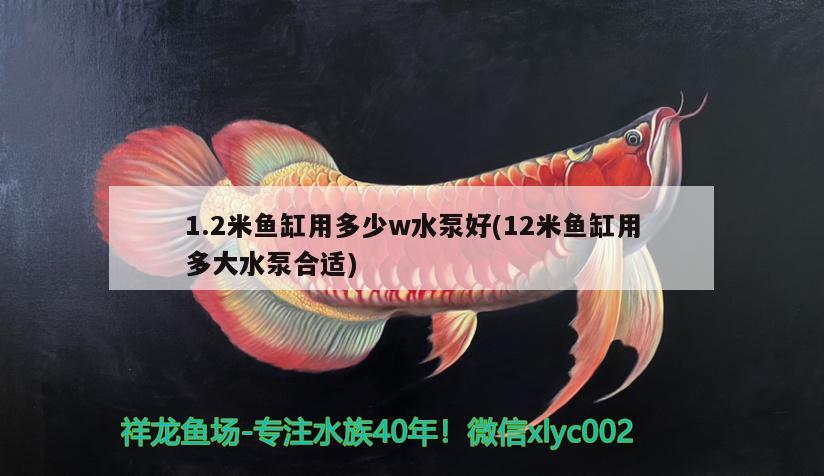 1.2米鱼缸用多少w水泵好(12米鱼缸用多大水泵合适)