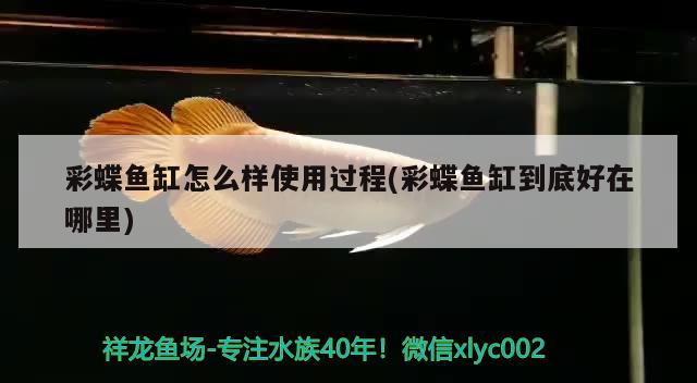 彩蝶鱼缸怎么样使用过程(彩蝶鱼缸到底好在哪里)