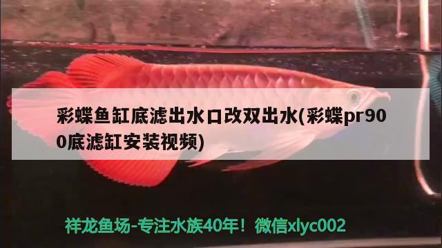 彩蝶鱼缸底滤出水口改双出水(彩蝶pr900底滤缸安装视频) 彩鲽鱼缸（彩蝶鱼缸）