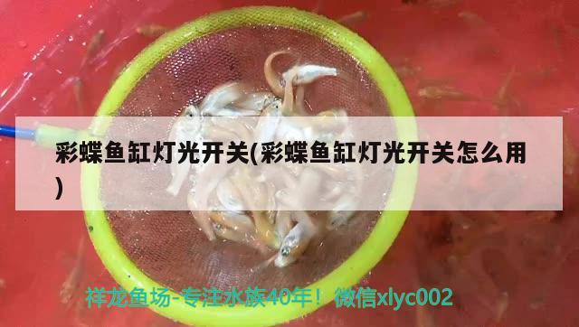 彩蝶鱼缸灯光开关(彩蝶鱼缸灯光开关怎么用)