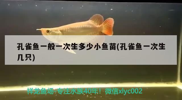 孔雀鱼一般一次生多少小鱼苗(孔雀鱼一次生几只) 观赏鱼