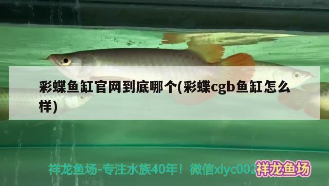 彩蝶鱼缸官网到底哪个(彩蝶cgb鱼缸怎么样) 彩鲽鱼缸（彩蝶鱼缸）