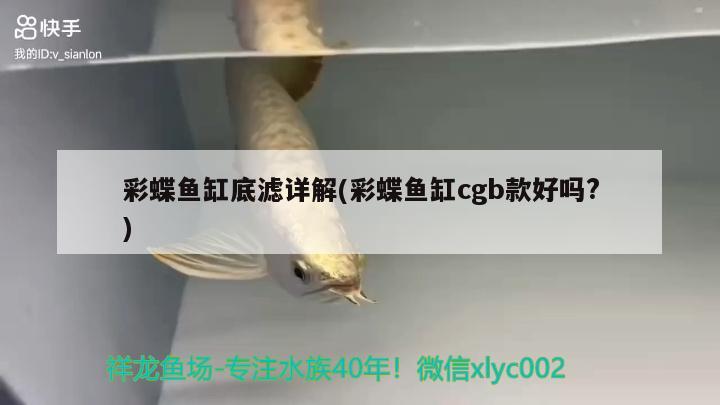 彩蝶鱼缸底滤详解(彩蝶鱼缸cgb款好吗?)