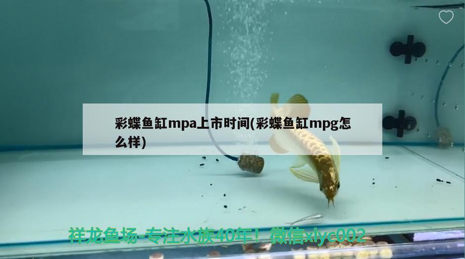 彩蝶鱼缸mpa上市时间(彩蝶鱼缸mpg怎么样)