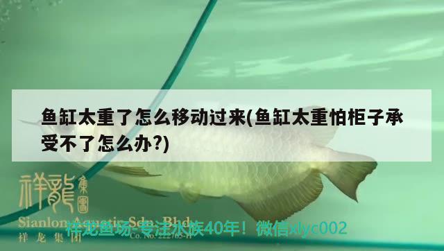 鱼缸太重了怎么移动过来(鱼缸太重怕柜子承受不了怎么办?) 翡翠凤凰鱼