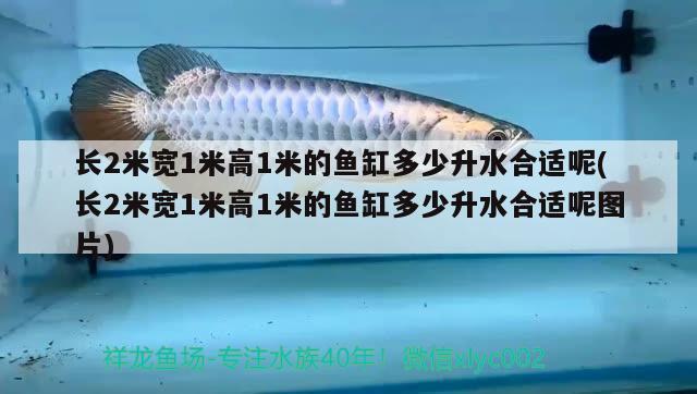 长2米宽1米高1米的鱼缸多少升水合适呢(长2米宽1米高1米的鱼缸多少升水合适呢图片) 大湖红龙鱼