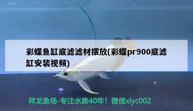 彩蝶鱼缸底滤滤材摆放(彩蝶pr900底滤缸安装视频) 彩鲽鱼缸（彩蝶鱼缸）