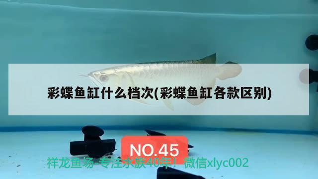 彩蝶鱼缸什么档次(彩蝶鱼缸各款区别) 彩鲽鱼缸（彩蝶鱼缸）