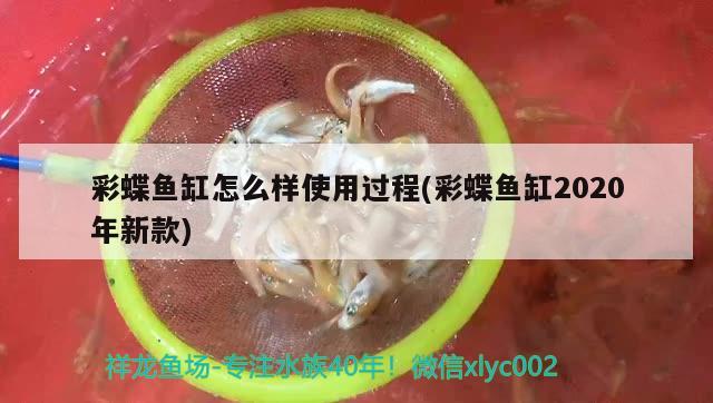 彩蝶鱼缸怎么样使用过程(彩蝶鱼缸2020年新款)