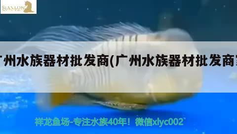 广州水族器材批发商(广州水族器材批发商家) 广州水族器材滤材批发市场