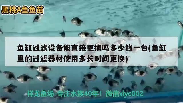 鱼缸过滤设备能直接更换吗多少钱一台(鱼缸里的过滤器材使用多长时间更换)