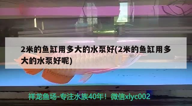 2米的鱼缸用多大的水泵好(2米的鱼缸用多大的水泵好呢) 虎鱼百科