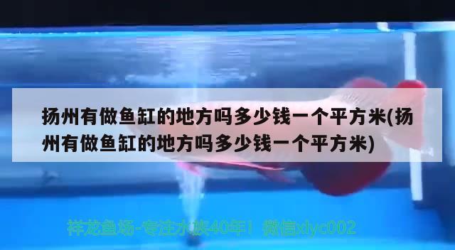 扬州有做鱼缸的地方吗多少钱一个平方米(扬州有做鱼缸的地方吗多少钱一个平方米)