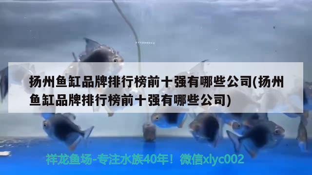 扬州鱼缸品牌排行榜前十强有哪些公司(扬州鱼缸品牌排行榜前十强有哪些公司)