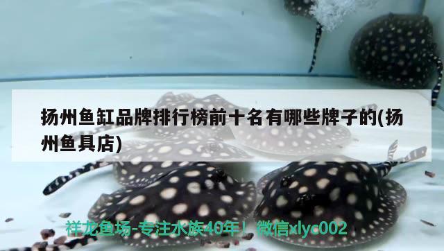 扬州鱼缸品牌排行榜前十名有哪些牌子的(扬州鱼具店)