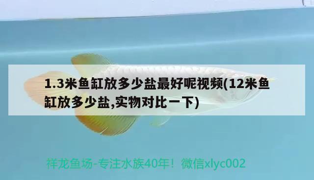 1.3米鱼缸放多少盐最好呢视频(12米鱼缸放多少盐,实物对比一下) 纯血皇冠黑白魟鱼