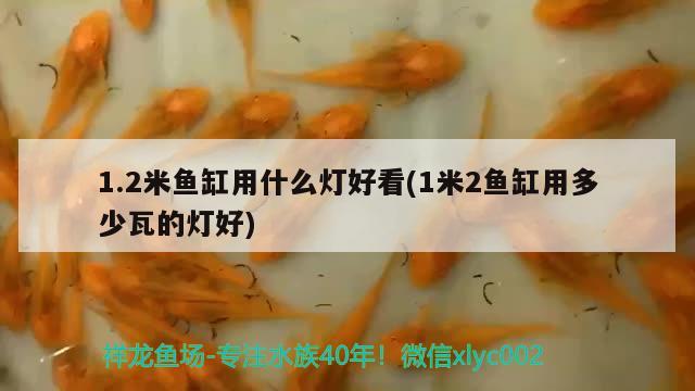 1.2米鱼缸用什么灯好看(1米2鱼缸用多少瓦的灯好)