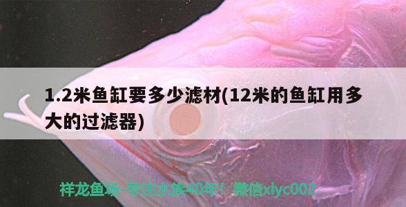 1.2米鱼缸要多少滤材(12米的鱼缸用多大的过滤器)