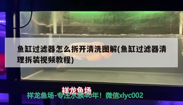 鱼缸过滤器怎么拆开清洗图解(鱼缸过滤器清理拆装视频教程) 2024第28届中国国际宠物水族展览会CIPS（长城宠物展2024 CIPS）