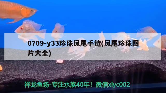 0709-y33珍珠凤尾手链(凤尾珍珠图片大全)